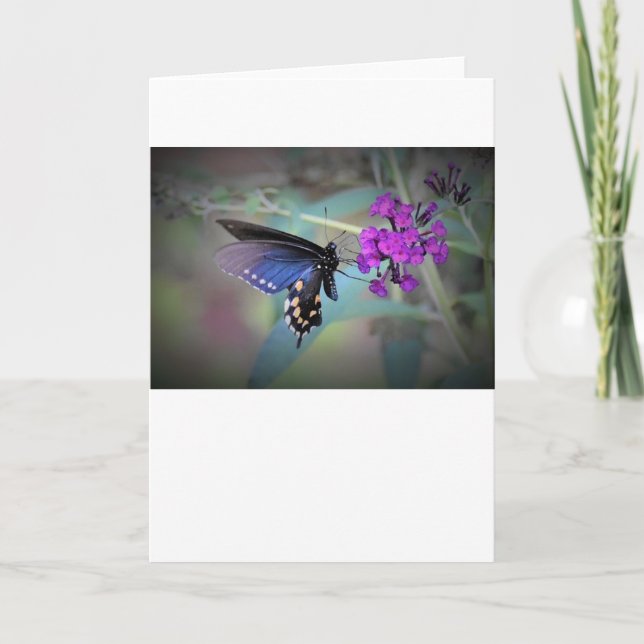 Slamflugan, kort (Framsida)