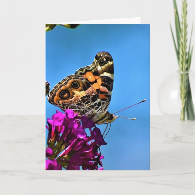 Slamflugan, kort (Framsida)