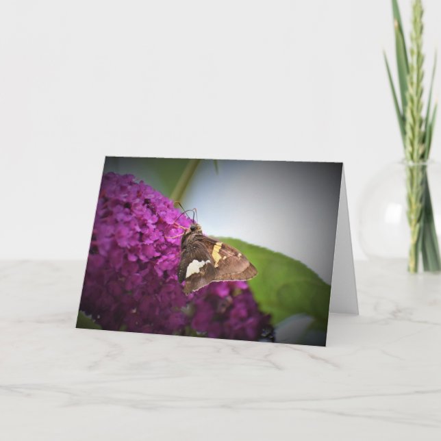 Slamflugan, kort (Framsida)