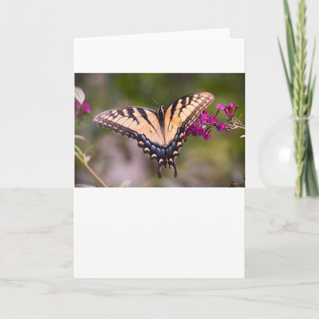 Slamflugan, kort (Framsida)