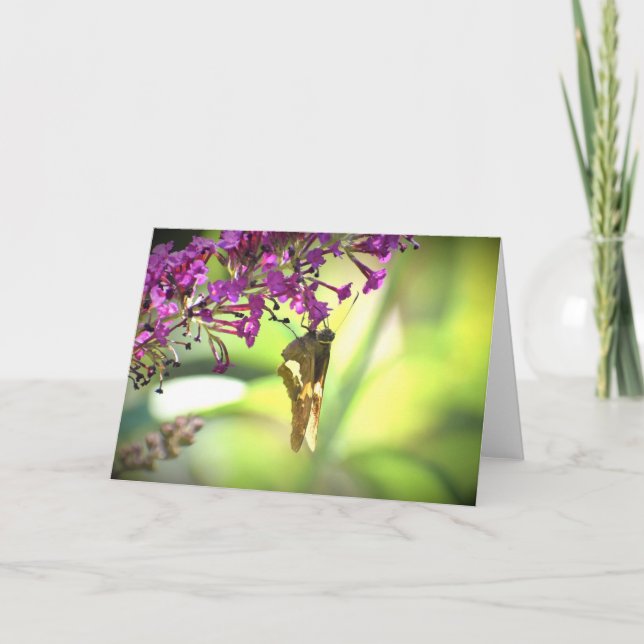 Slamflugan, kort (Framsida)