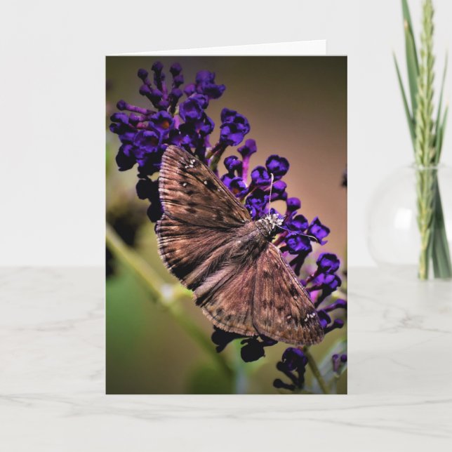 Slamflugan, kort (Framsida)