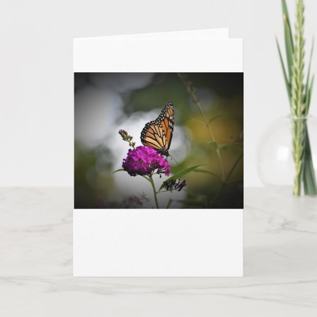 Slamflugan, kort (Framsida)