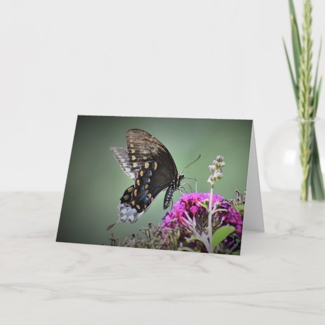 Slamflugan, kort (Framsida)