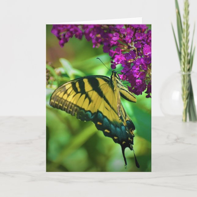 Slamflugan, kort (Framsida)