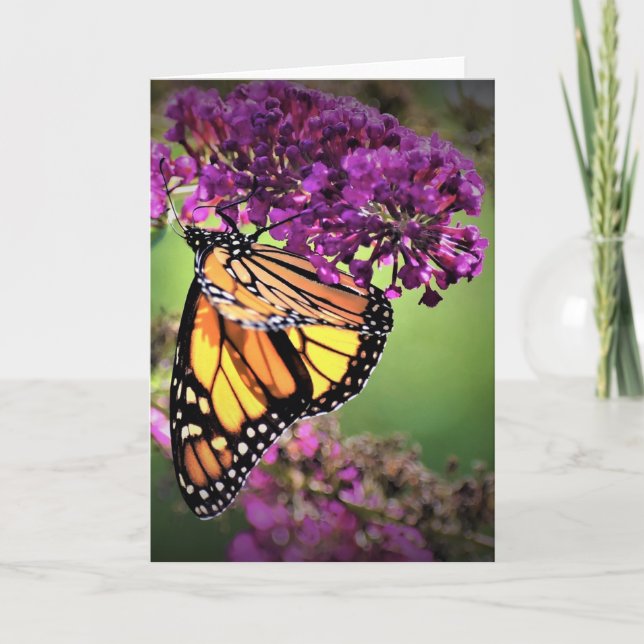 Slamflugan, kort (Framsida)