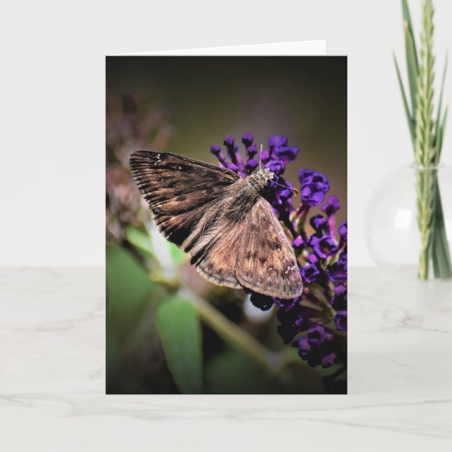 Slamflugan, kort (Framsida)