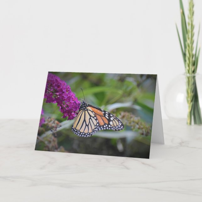 Slamflugan, kort (Framsida)