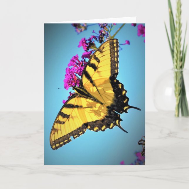 Slamflugan, kort (Framsida)