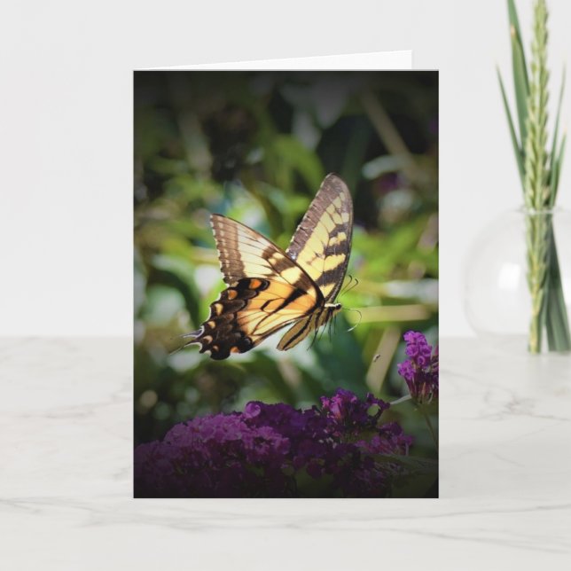 Slamflugan, kort (Framsida)