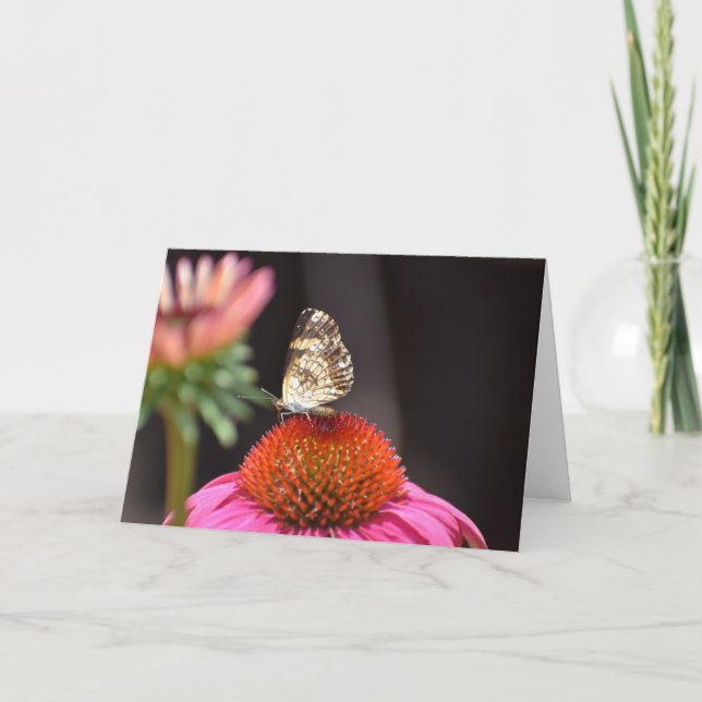 Slamflugan, kort (Framsida)