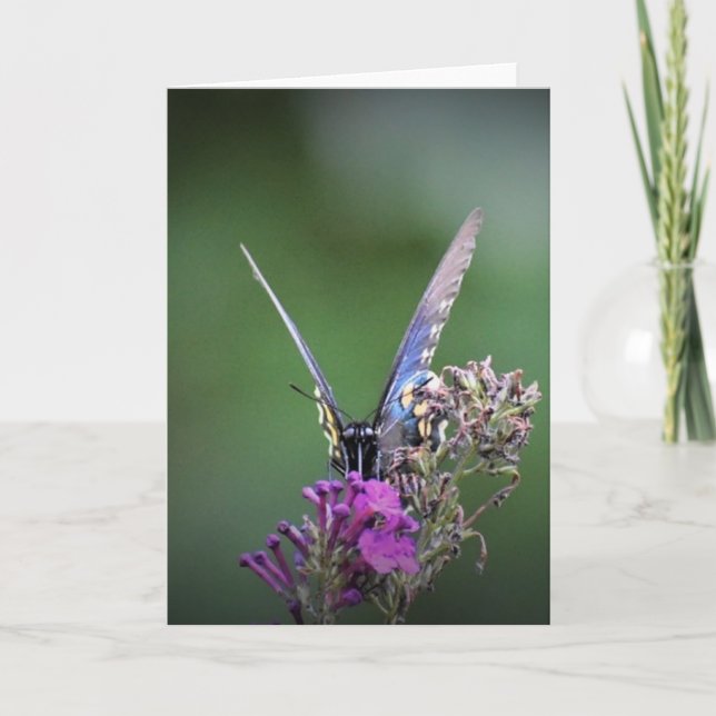 Slamflugan, kort (Framsida)