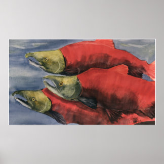 Slamon'Salmon! Poster