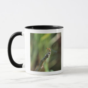 Slända 5 mugg