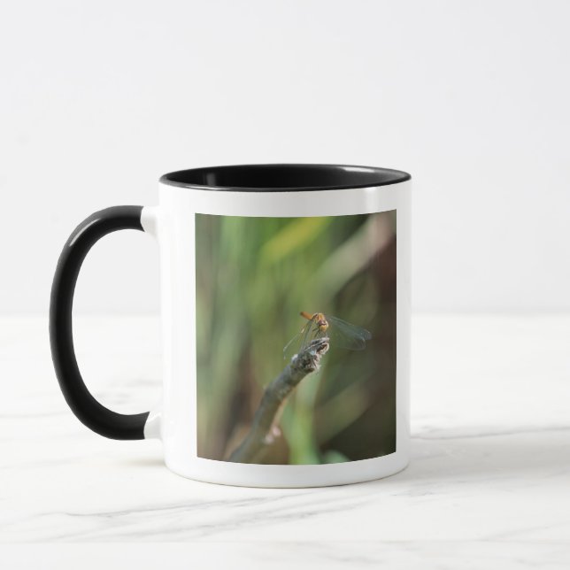 Slända 5 mugg (Vänster)