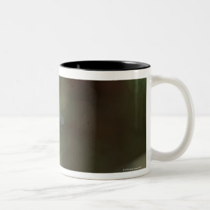 Slända 5 Två-Tonad mugg