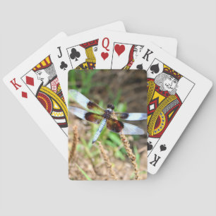 SLÄNDA CASINOKORT