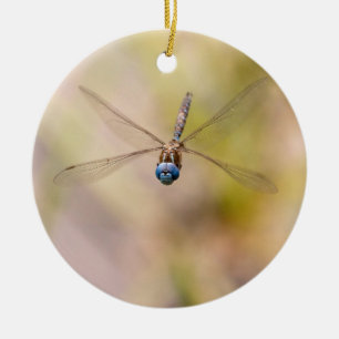 Slända i flygfoto julgransprydnad keramik