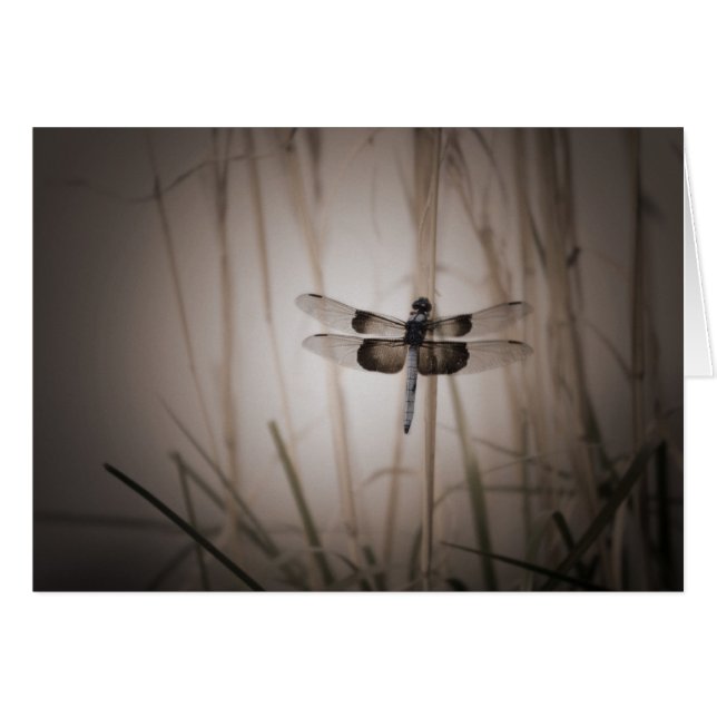 Slända - vintagelook OBS kort (Framsidan Horizontal)