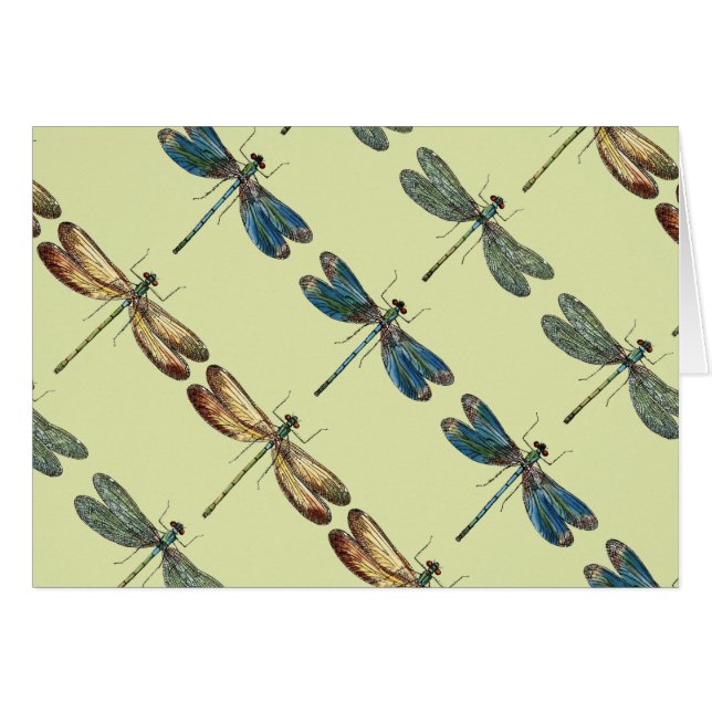 Sländaillustrationer Hälsningskort (Framsidan Horizontal)