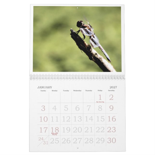 Sländakalender 2011 kalender (Jan 2027)
