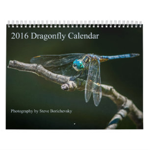 Sländakalender 2016 av Steve Borichevsky Kalender
