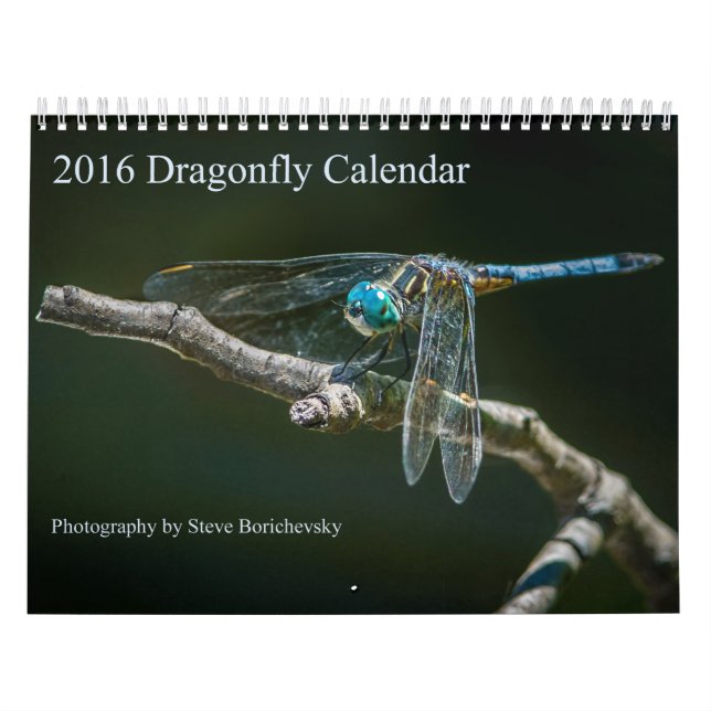 Sländakalender 2016 av Steve Borichevsky Kalender (Omslag)