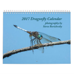 Sländakalender 2017 kalender