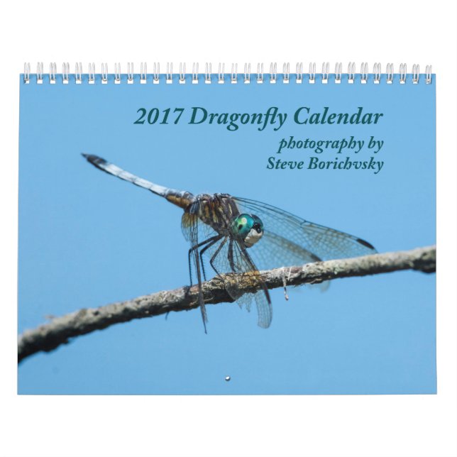 Sländakalender 2017 kalender (Omslag)