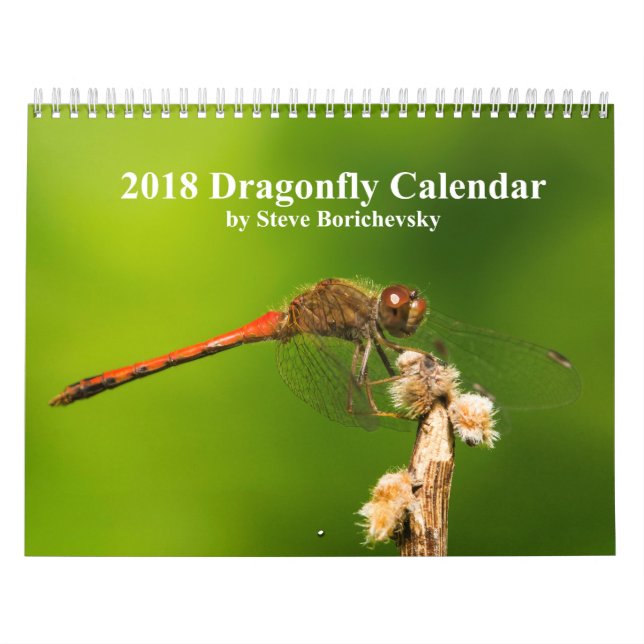 Sländakalender 2018 kalender (Omslag)