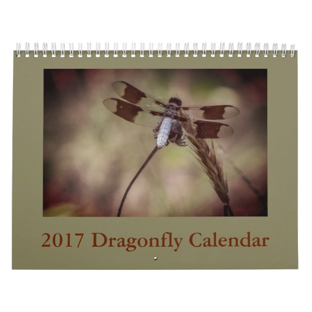 Sländakalender Kalender (Omslag)