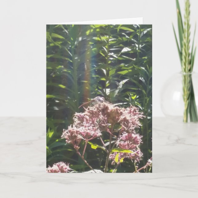 sländasympatikort kort (Framsida)