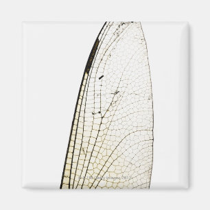 Sländavinge Magnet