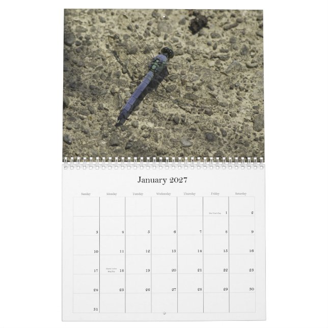 Sländor och näckrosor kalender (Jan 2027)
