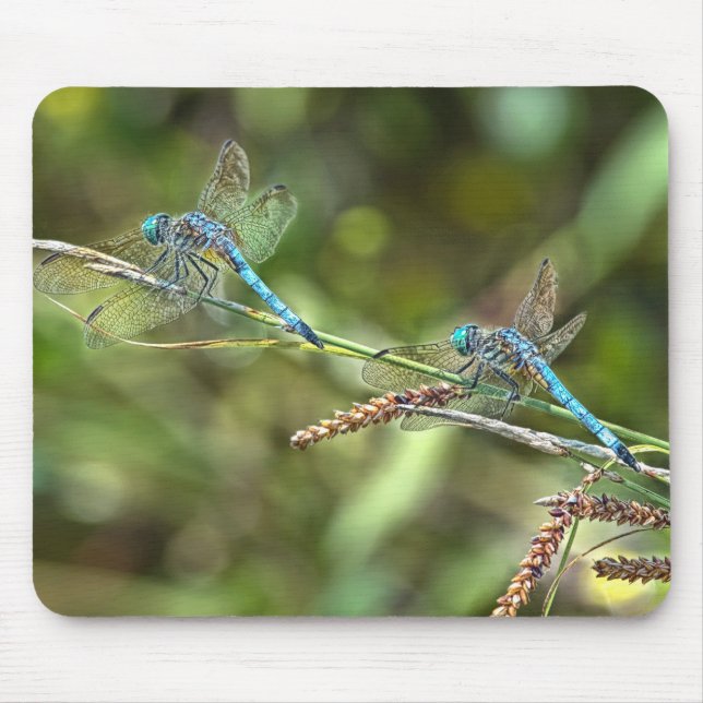 Sländor på gren Mousepad Musmatta (Framsidan)