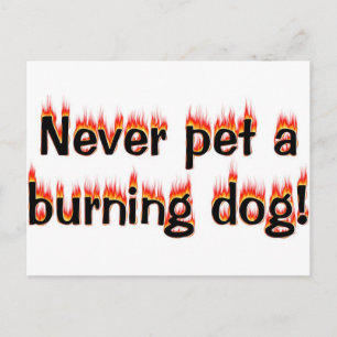 Släng aldrig en brännande hund! vykort
