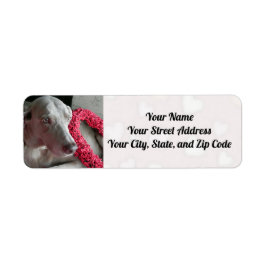 Släng Weimaraner-Hund hjärtan till dig Returadress Etikett