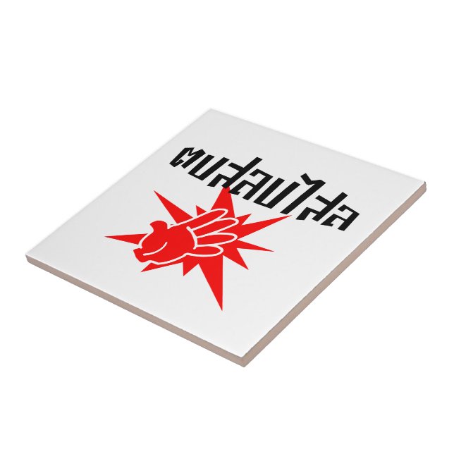 Slap You Fånig † Dop Salop Salai i Thai Script ; Kakelplatta (Sidan)