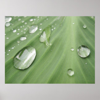 Släpp efter släpp poster