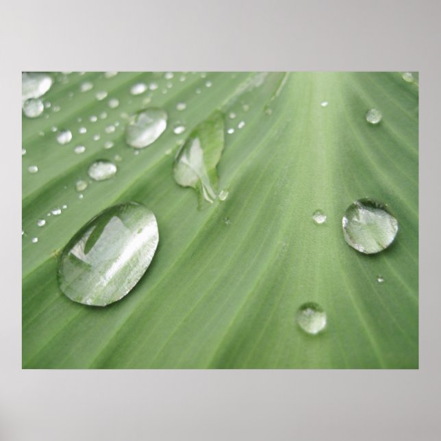 Släpp efter släpp poster (Framsidan)