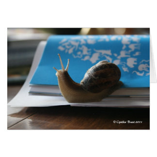 Släpp Sol Shine! Hälsningskort