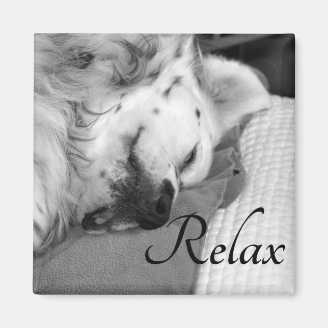 "Slappna av" Cute Hund Sleeping Square Magnet (Framsidan)