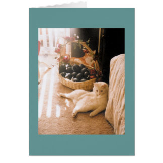 Slappna av hälsningskort