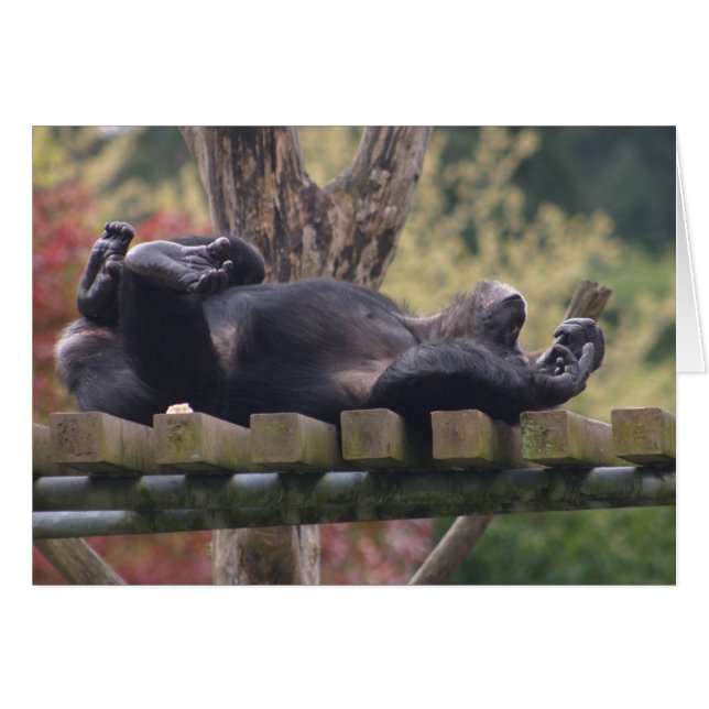 Slappna av! hälsningskort (Framsidan Horizontal)