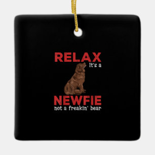Slappna av i en nyfiende Cute Newfoundland hund Julgransprydnad Keramik
