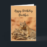 Slappna av i grattis på födelsedagen Brother Funny Kort<br><div class="desc">Lustigt kort för din hårt arbetande bror som påminner dem om att slappna av med ett sött relaxande,  kyligt ekorresött djur.
Insida verse: Och du vet att på din födelsedag ska du bara kylla och slappna av,  höger?</div>