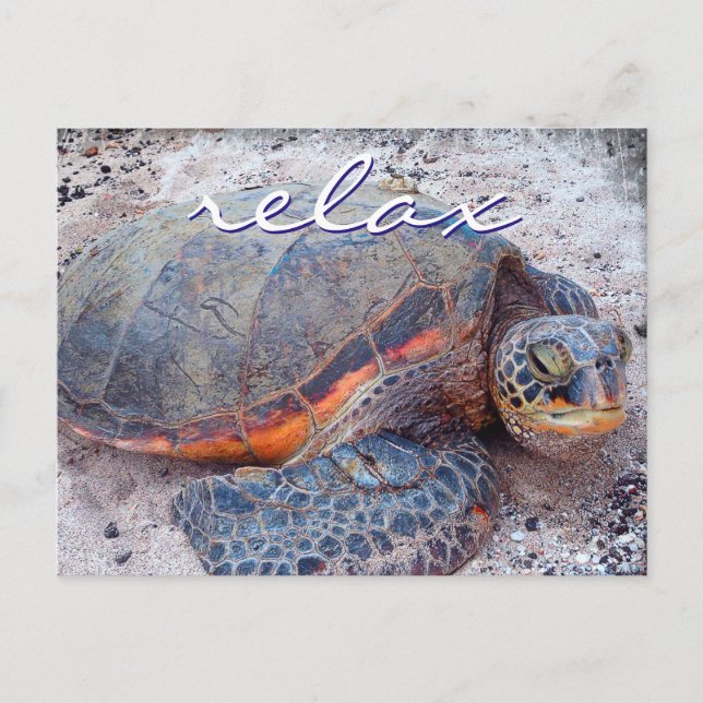 Slappna av i hawaii honu Sea turtle-foto Slappna a Vykort (Framsida)
