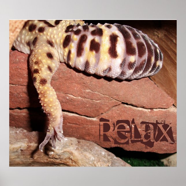 "Slappna av" Lounging Lizard Leopard Gecko Poster (Framsidan)