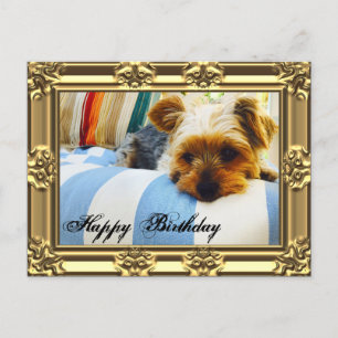 Slappna av med Yorkie Birthday Vykort