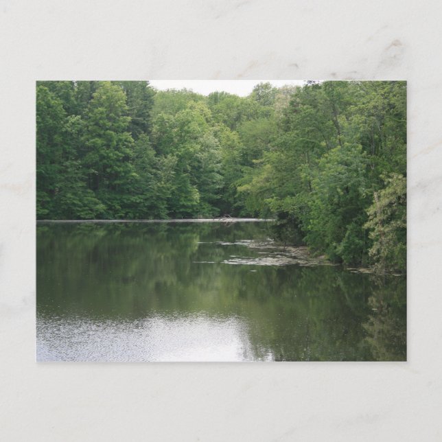 Slappna av vykort (Framsida)